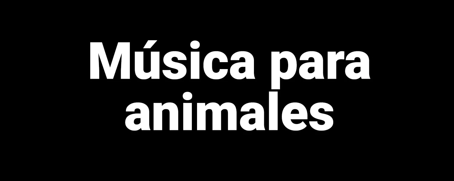 Rock FM, Identidad sonora, Música para animales, Alejo Stivel, Leo Adrogué